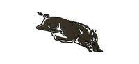 arkansas razers