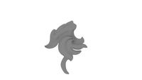 a lion