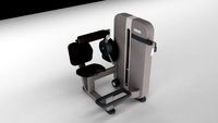 Lowerback Gym Power Trainer 3D Model