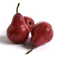 Red Pears 3D Model
