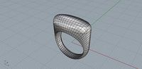 Anello bombato da rete di curve