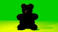 Teddy bear
