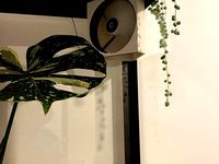 Arctic F12 120mm corner case