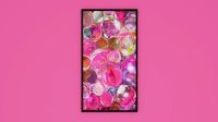 Boble Rose  picture framed
