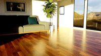 Beautiful Living room