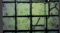 Stone tile