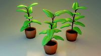 Ficus Plant Stylized