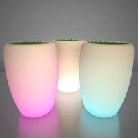 Illuminated Planter 3 3D Model
