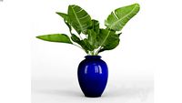 plant - 0020.