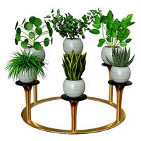 indoor plants 001