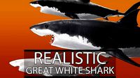 Realistic Great White Shark