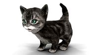 Fur Cute Gray Cat Kitten Animated