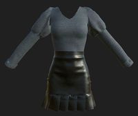 Female outfit Skirt and Shirt