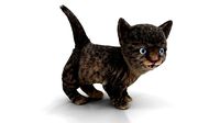 Fur Cute Cat kitten Dark Gray Animated