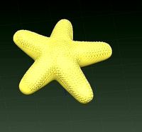 estrella de mar en modelado 3D