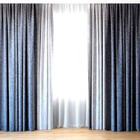 Curtains 61 Curtains with Tulle Backhausen