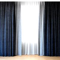 Curtains 66 Curtains with Tulle Backhausen
