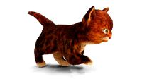 Fur Cute Red Cat Kitten Animated