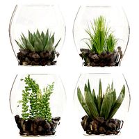 Collection plant vol 71