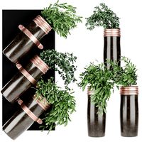 Collection plant vol 64