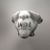 Animal Mask