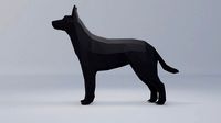 Polygonal dog