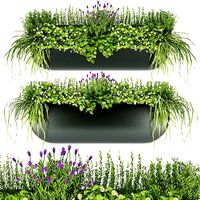 Collection plant vol 61
