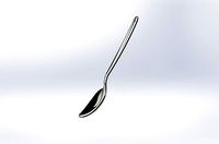 Spoon