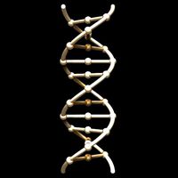 DNA Chain