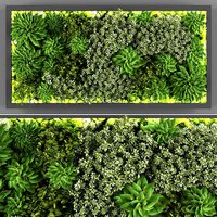 Vertical garden 119