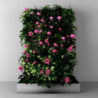 Vertical garden 118