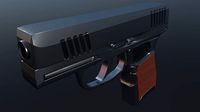 gun model