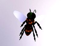 BEE standar