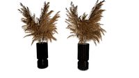 v-ray ready pampas met grijs en bruin glazen vaas