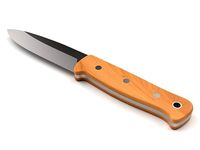 Kitchen knife 16