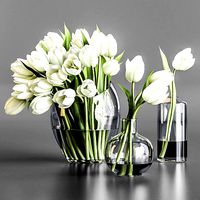 White tulips