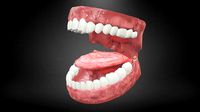 Teeth and Tongue