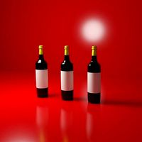Wine Bottle