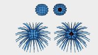 Virus