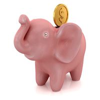 Elephant Bank