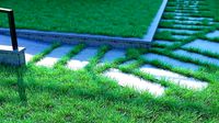 Realistic Grass for Corona Render