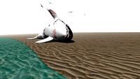Orca-cadaver op het stand