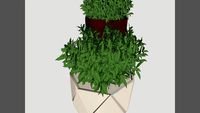 Cachepot _ vray
