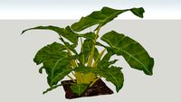 VEGETACION 1