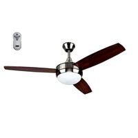 Ceiling Fan with Light