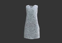 silver glittery dress