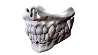 Skull Jaw Mask | 3D
