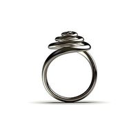 Spiral Ring 1 | 3D