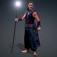 Wizard High quality character full Rigged and Animated