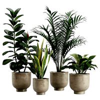 Indoor Plants Pack 20